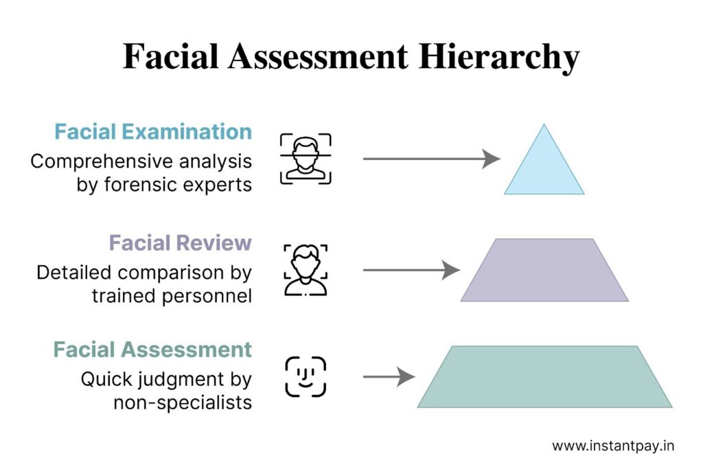 Facial assessment hierarchy chart comparing facial examination, facial review, and facial assessment by expertise level and analysis depth.